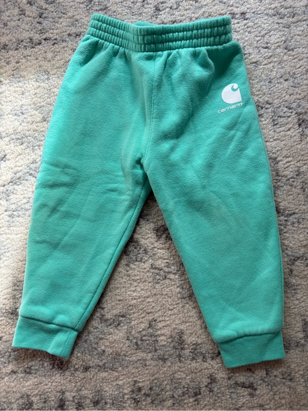Carhartt Baby Teal Green Fleece Jogger Pants